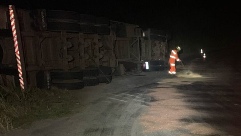 Caminhão com pizzas congeladas tomba na MG 448