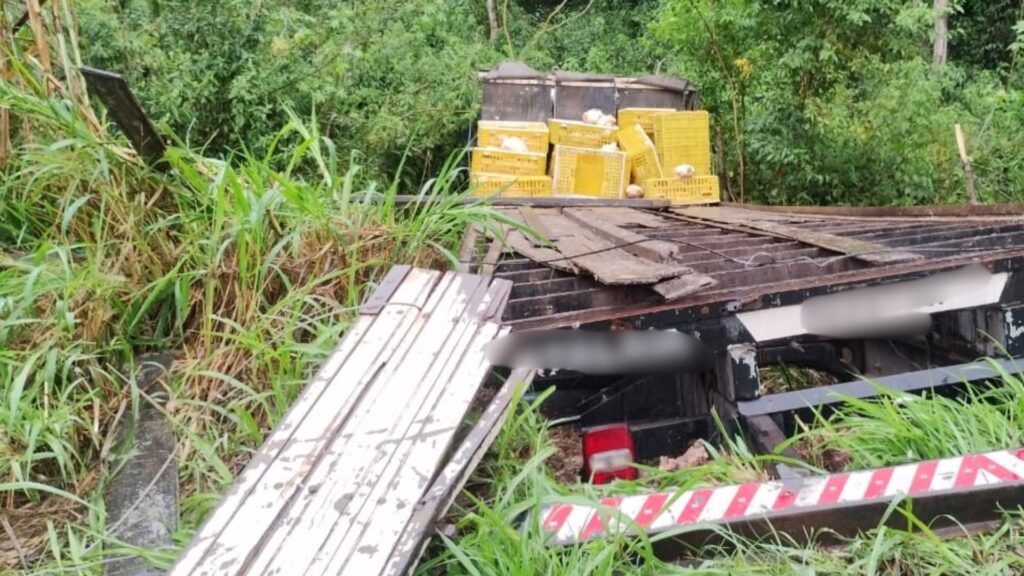 Caminhão carregado com aves sofre acidente na BR 265, em Barbacena