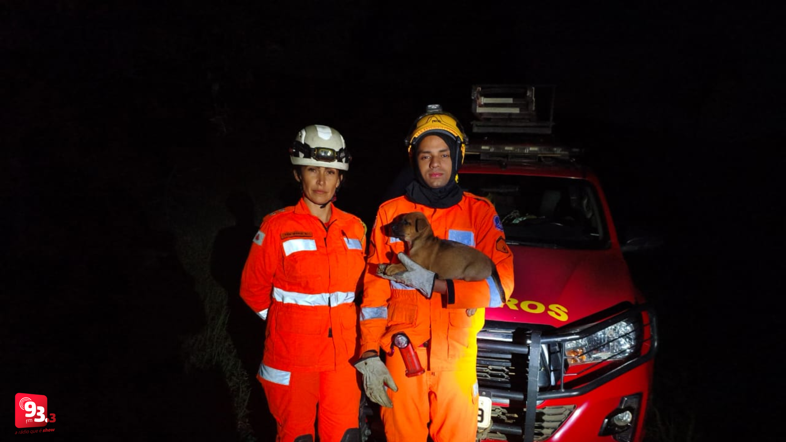 Leia mais sobre o artigo Bombeiros de Barbacena resgatam filhote de cachorro perdido em mata