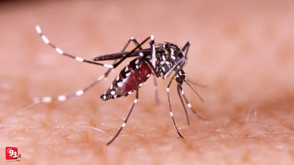 Barbacena se aproxima dos 400 casos de dengue