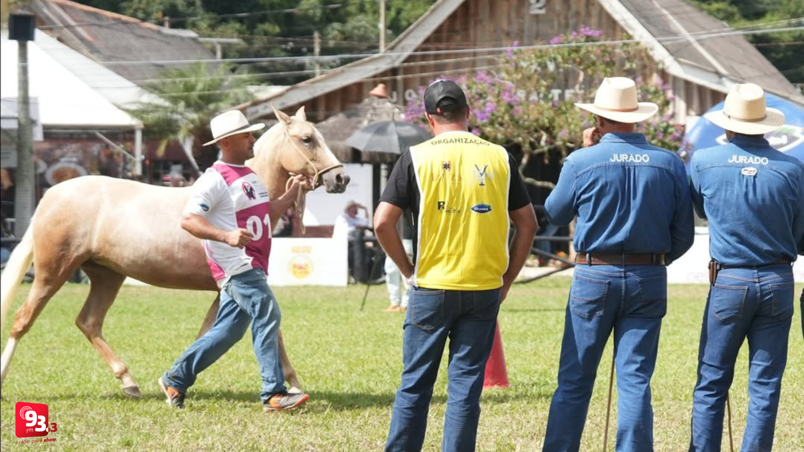 Leia mais sobre o artigo Mangalarga Marchador já tem data para voltar a Barbacena