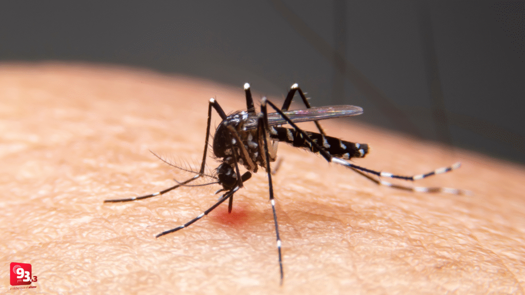 Barbacena se aproxima dos 600 casos de dengue