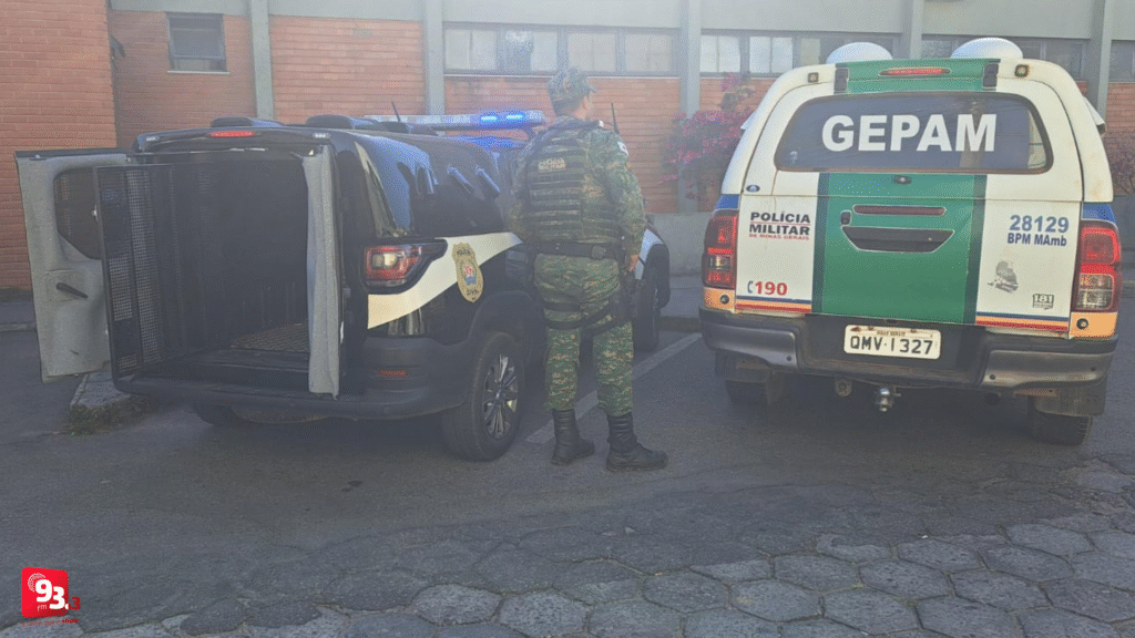 Mulher é presa suspeita de dar cobertura ao “Lázaro” dos furtos em Antônio Carlos
