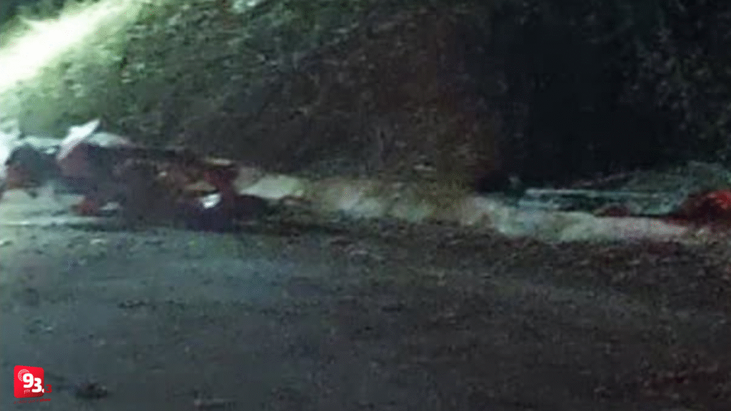 Acidente na BR-494 em São João del-Rei deixa duas mortes