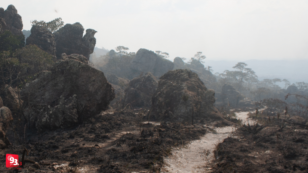 Bombeiros e voluntários conseguem controlar incêndio na Serra de São José
