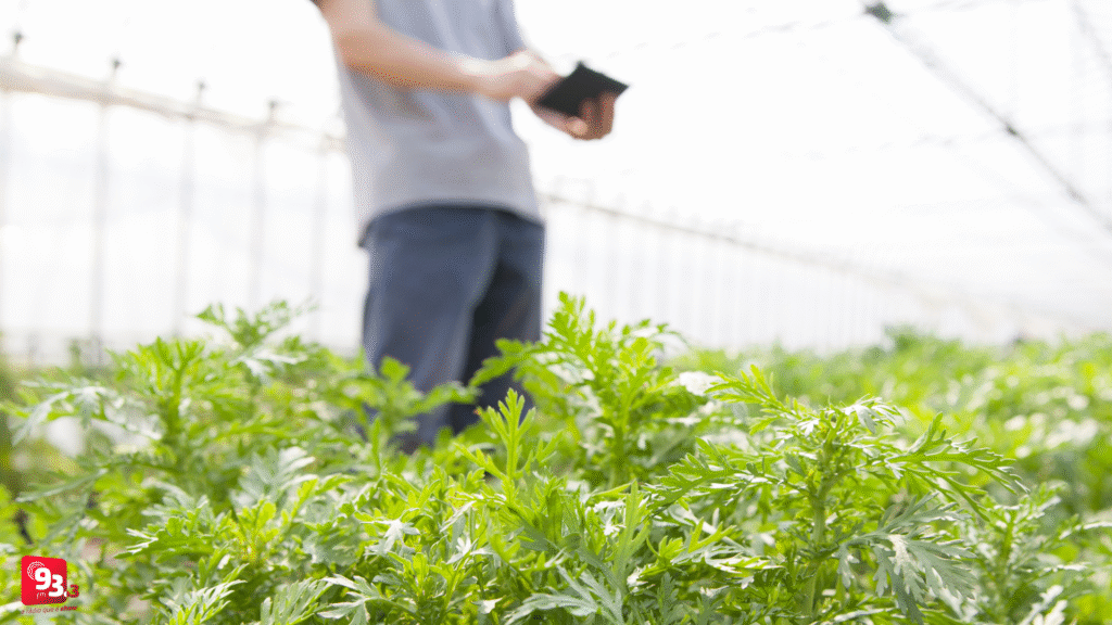 Últimos dias de inscrições para curso técnico em Agronegócio em Barbacena