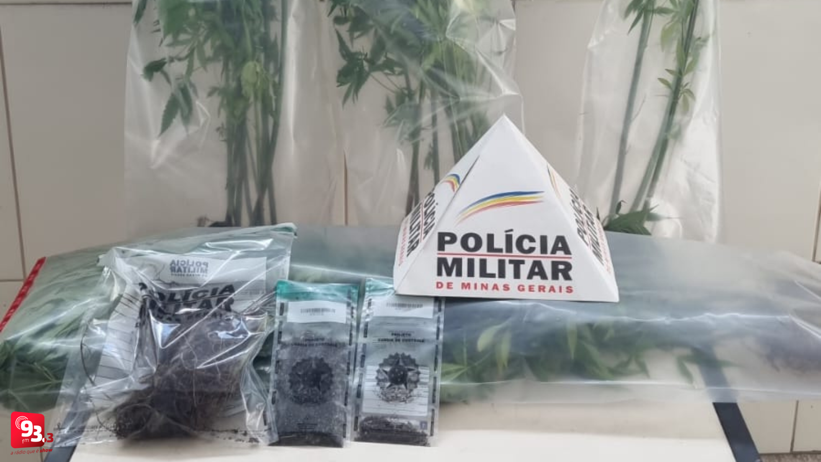 Leia mais sobre o artigo Casal é preso por tráfico de drogas após denúncia de violência doméstica em distrito de Barbacena