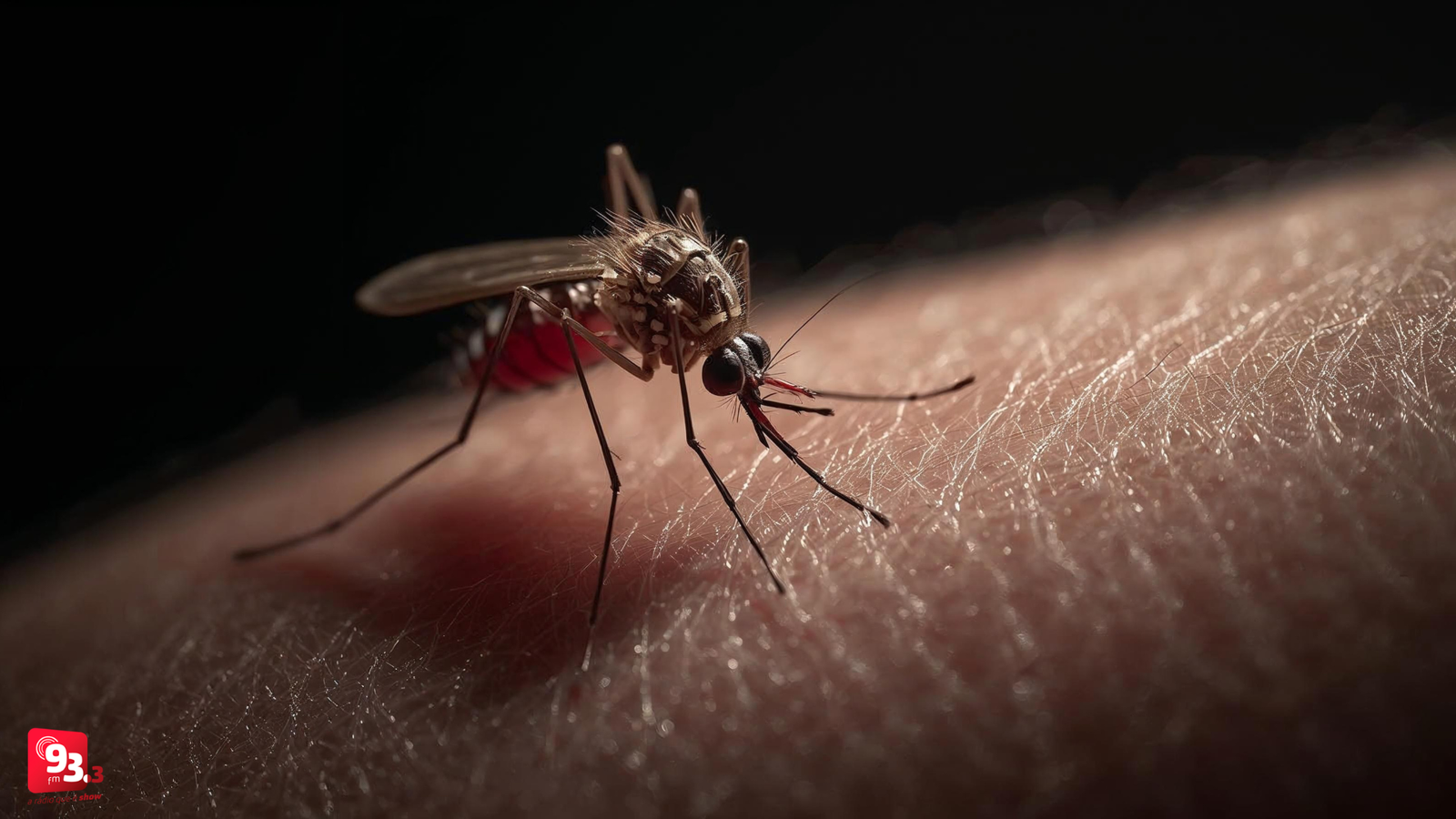 Leia mais sobre o artigo Barbacena participa do Dia D de combate ao mosquito da dengue