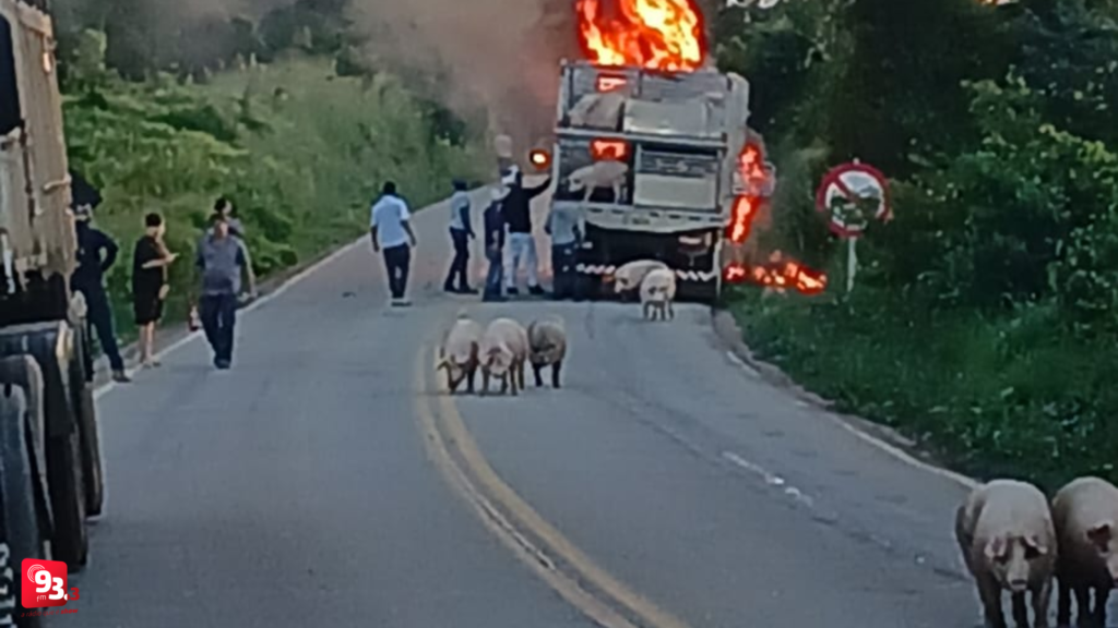 Incêndio destrói caminhão com carga de porcos na MGC-383, perto de Lagoa Dourada