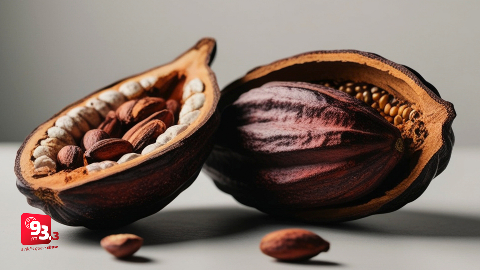 Leia mais sobre o artigo Senado aprova lei que define percentual mínimo de cacau em chocolates e reforça regras de rotulagem