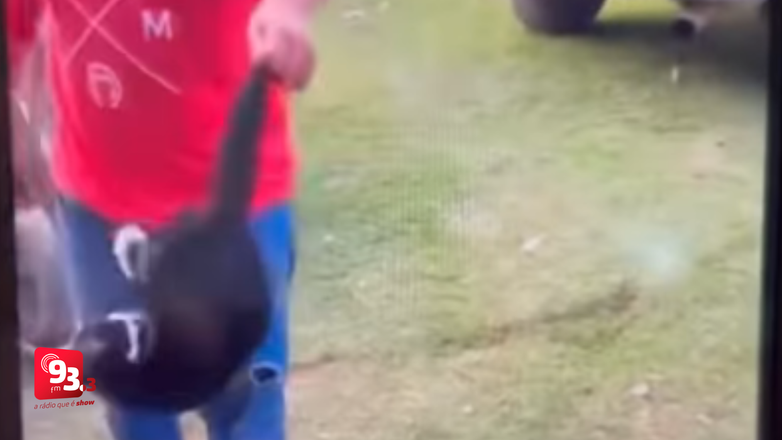 Leia mais sobre o artigo PMMa identifica envolvidos em caso de maus-tratos a gato em Carandaí