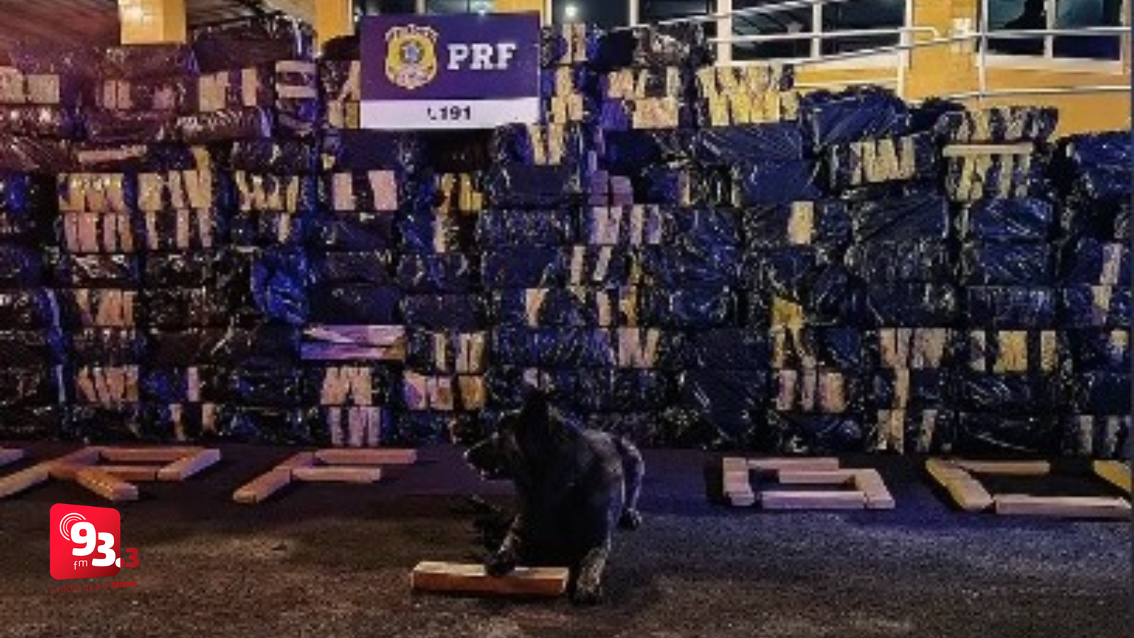 Leia mais sobre o artigo Cão de faro treinado em Barbacena localiza 7,5 toneladas de drogas em ação realizada em Goiás