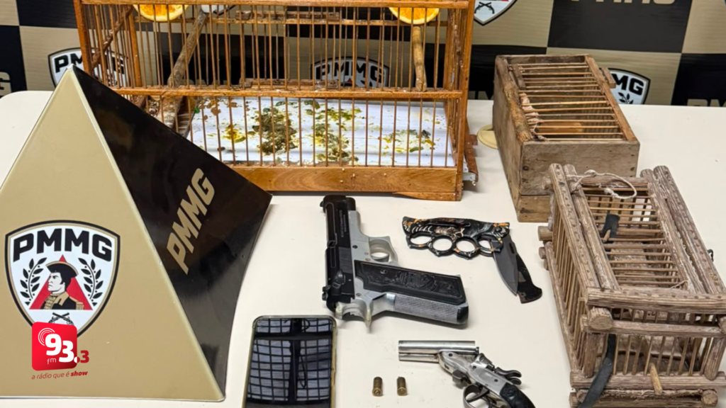 Homem é preso por tentativa de homicídio e posse ilegal de arma em Mercês