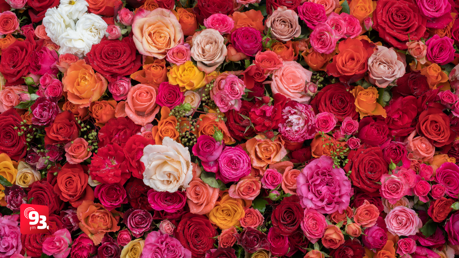 Leia mais sobre o artigo Secult abre chamamento para empresas patrocinarem o concurso Rainha das Rosas e Flores 2026