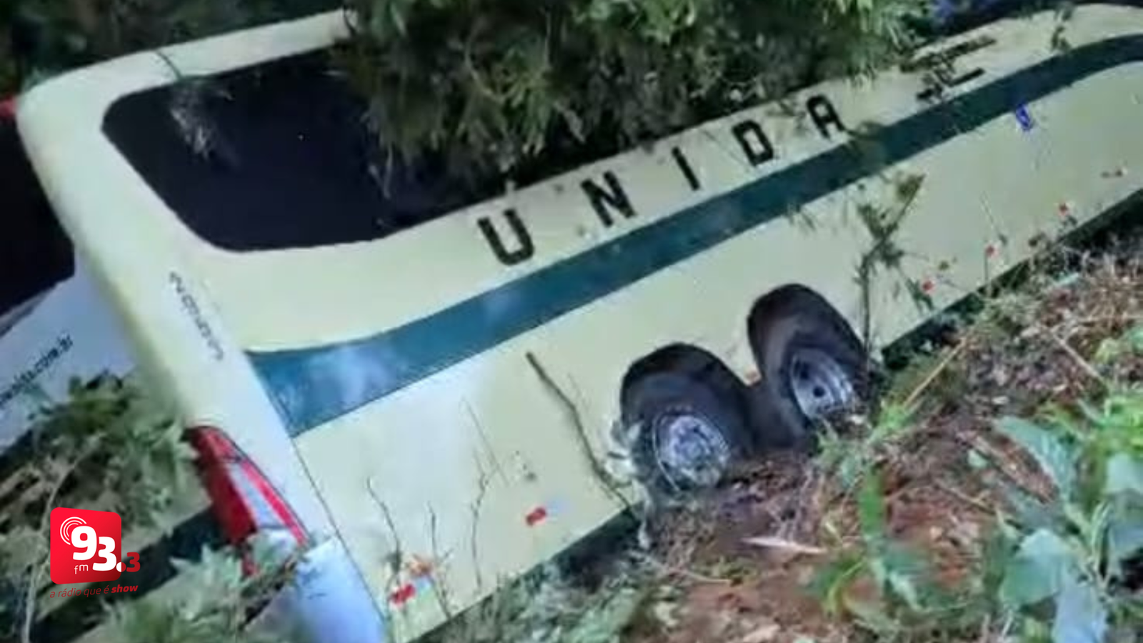 Leia mais sobre o artigo Ônibus que saiu de Juiz de Fora cai em ribanceira na BR-040, em Petrópolis