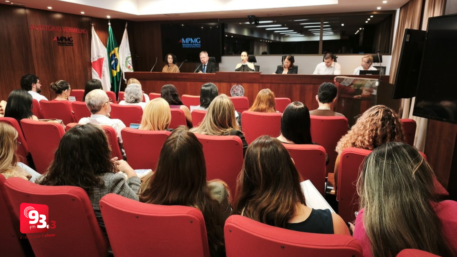 Leia mais sobre o artigo Entidades da rede de proteção a crianças e adolescentes debatem escuta protegida em Minas Gerais