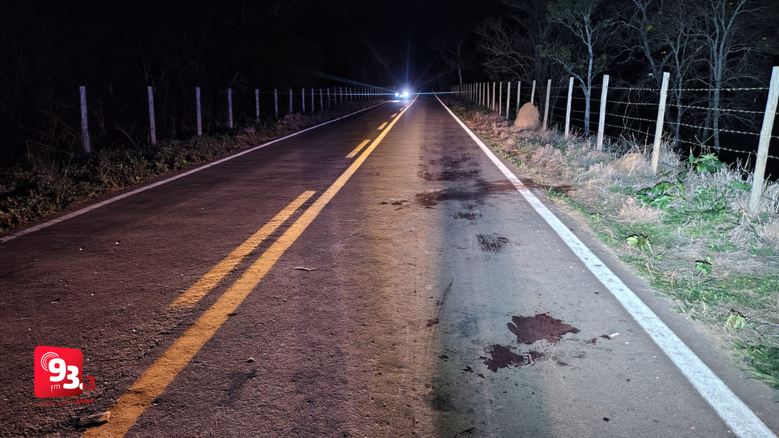 Leia mais sobre o artigo Motocicleta atinge égua e deixa três pessoas feridas