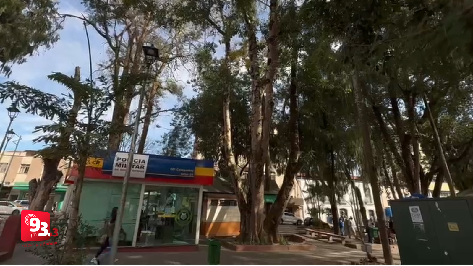 Leia mais sobre o artigo Após queda de galho ferir dentista, Prefeitura realiza manutenção de árvores em Barbacena