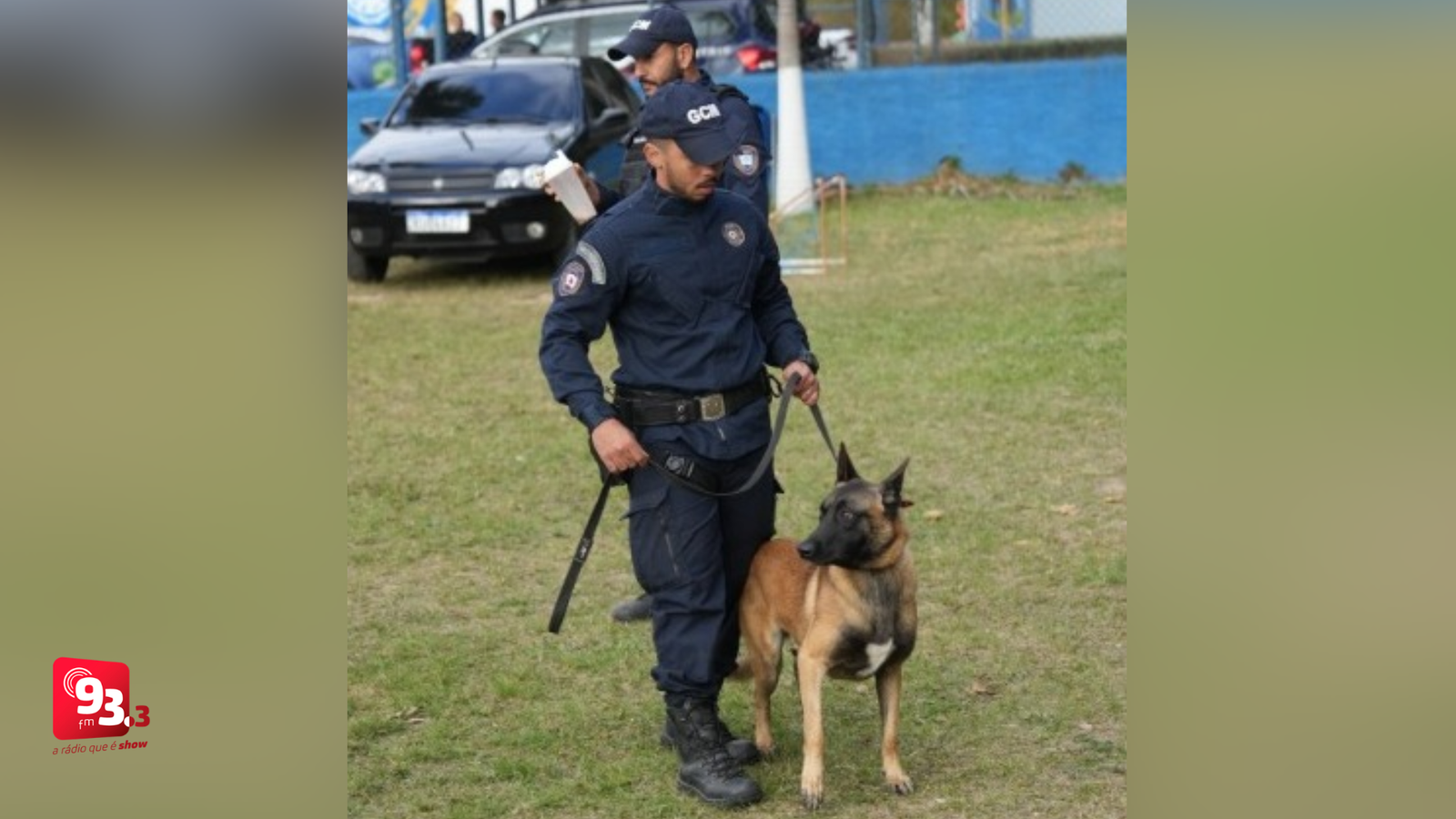 Leia mais sobre o artigo GCM de Barbacena abre inscrições para Curso de Operações com Cães