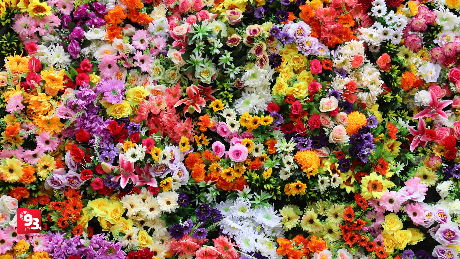 Leia mais sobre o artigo Barbacena credencia decoradores e paisagistas para a Festa das Rosas